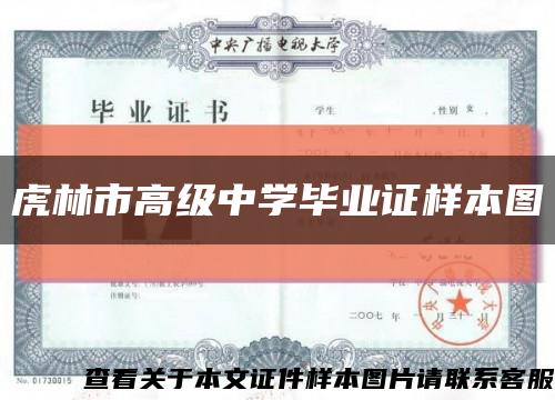 虎林市高级中学毕业证样本图缩略图