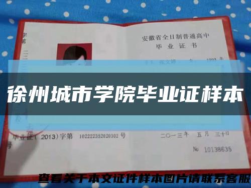 徐州城市学院毕业证样本缩略图