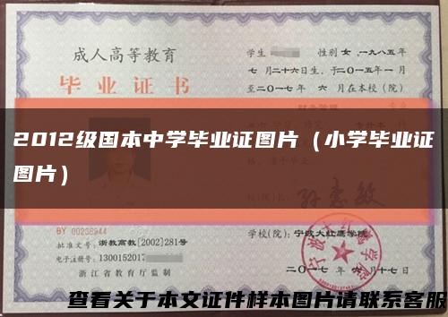 2012级国本中学毕业证图片（小学毕业证图片）缩略图