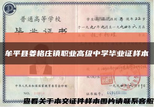 牟平县姜格庄镇职业高级中学毕业证样本缩略图