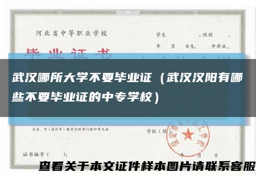 武汉哪所大学不要毕业证（武汉汉阳有哪些不要毕业证的中专学校）缩略图