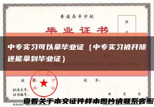中专实习可以拿毕业证（中专实习被开除还能拿到毕业证）缩略图