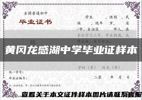 黄冈龙感湖中学毕业证样本缩略图