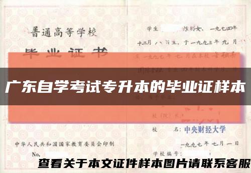 广东自学考试专升本的毕业证样本缩略图