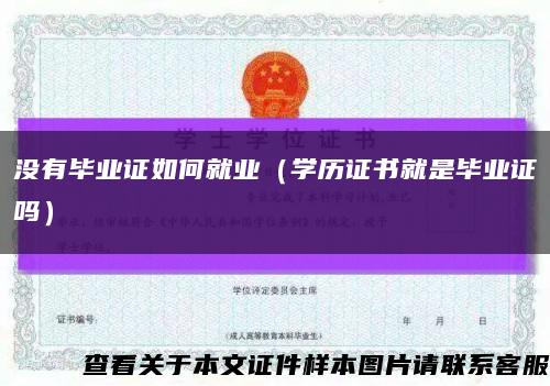 没有毕业证如何就业（学历证书就是毕业证吗）缩略图