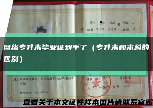 网络专升本毕业证到手了（专升本和本科的区别）缩略图