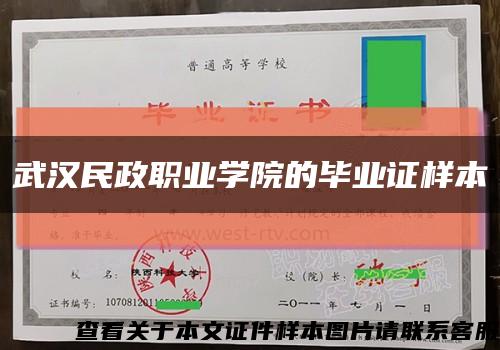 武汉民政职业学院的毕业证样本缩略图
