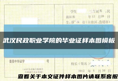 武汉民政职业学院的毕业证样本图模板缩略图