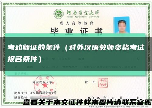 考幼师证的条件（对外汉语教师资格考试报名条件）缩略图