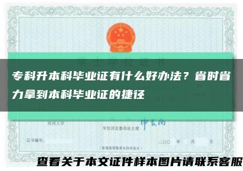 专科升本科毕业证有什么好办法？省时省力拿到本科毕业证的捷径缩略图