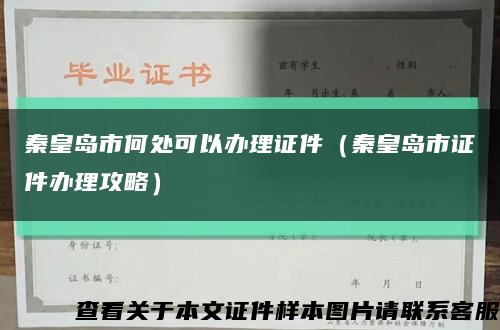 秦皇岛市何处可以办理证件（秦皇岛市证件办理攻略）缩略图