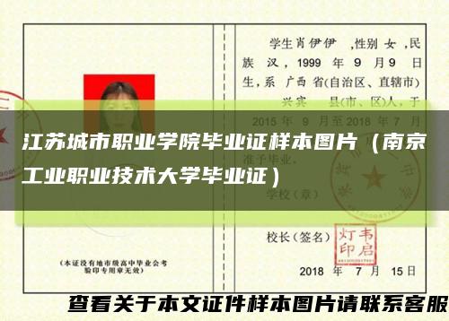 江苏城市职业学院毕业证样本图片（南京工业职业技术大学毕业证）缩略图