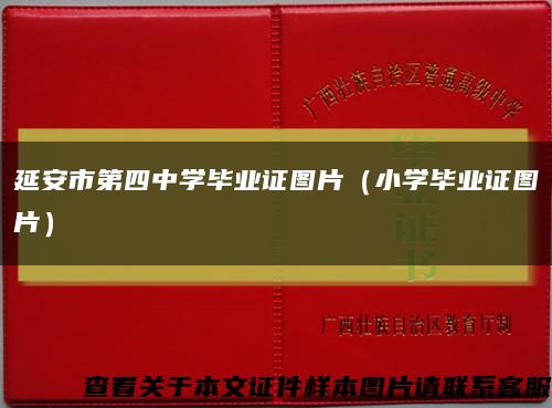 延安市第四中学毕业证图片（小学毕业证图片）缩略图