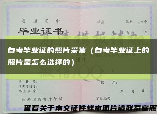 自考毕业证的照片采集（自考毕业证上的照片是怎么选择的）缩略图