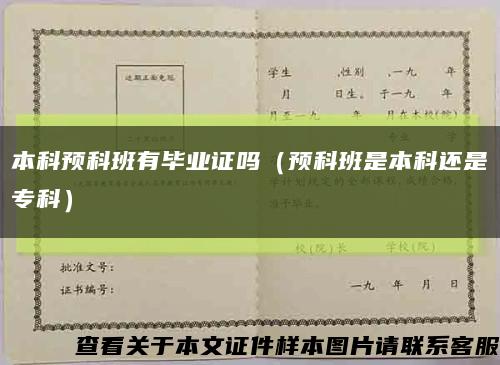 本科预科班有毕业证吗（预科班是本科还是专科）缩略图