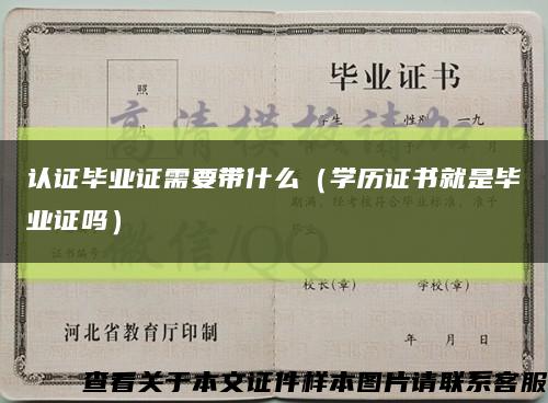 认证毕业证需要带什么（学历证书就是毕业证吗）缩略图