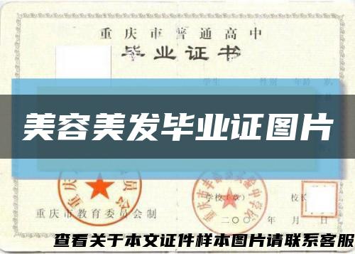 美容美发毕业证图片缩略图