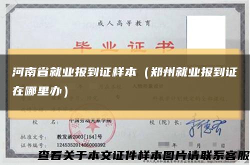 河南省就业报到证样本（郑州就业报到证在哪里办）缩略图