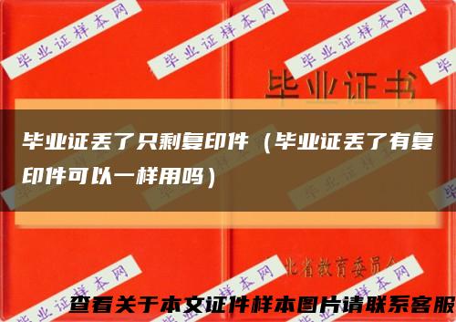 毕业证丢了只剩复印件（毕业证丢了有复印件可以一样用吗）缩略图