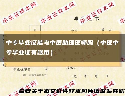 中专毕业证能考中医助理医师吗（中医中专毕业证有啥用）缩略图