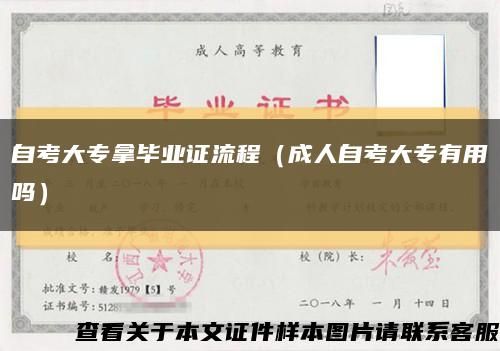 自考大专拿毕业证流程（成人自考大专有用吗）缩略图
