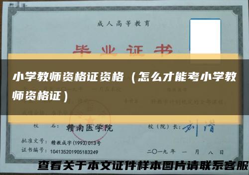 小学教师资格证资格（怎么才能考小学教师资格证）缩略图