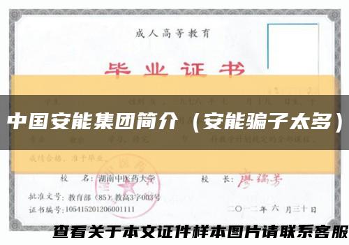 中国安能集团简介（安能骗子太多）缩略图