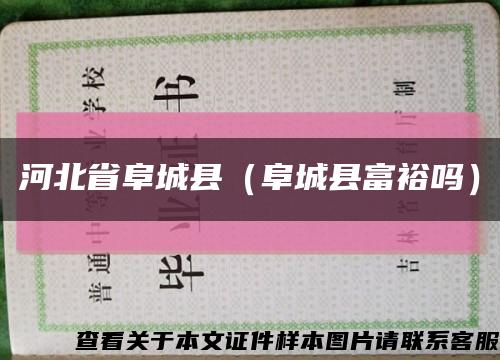 河北省阜城县（阜城县富裕吗）缩略图
