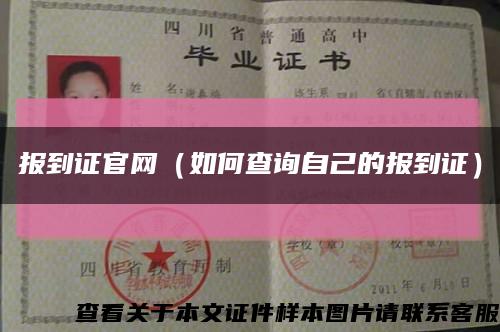 报到证官网（如何查询自己的报到证）缩略图