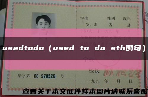 usedtodo（used to do sth例句）缩略图