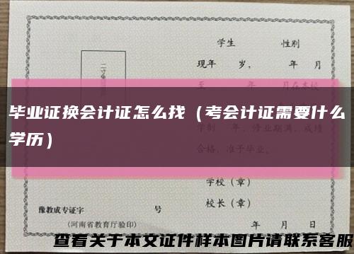 毕业证换会计证怎么找（考会计证需要什么学历）缩略图