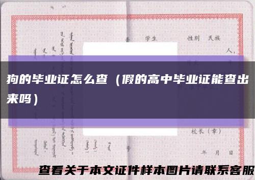 狗的毕业证怎么查（假的高中毕业证能查出来吗）缩略图