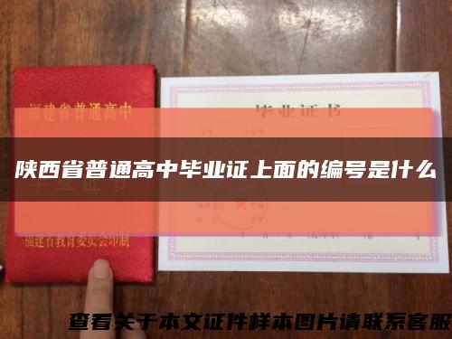 陕西省普通高中毕业证上面的编号是什么缩略图