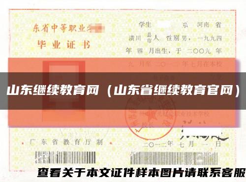 山东继续教育网（山东省继续教育官网）缩略图