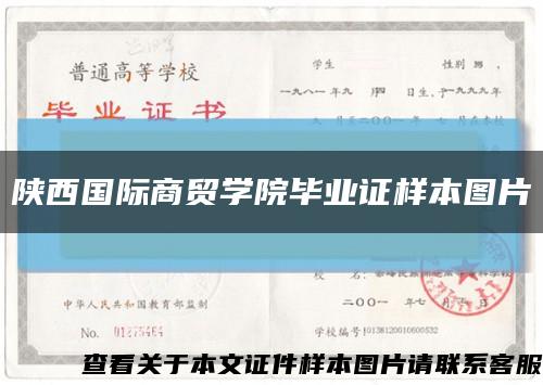 陕西国际商贸学院毕业证样本图片缩略图