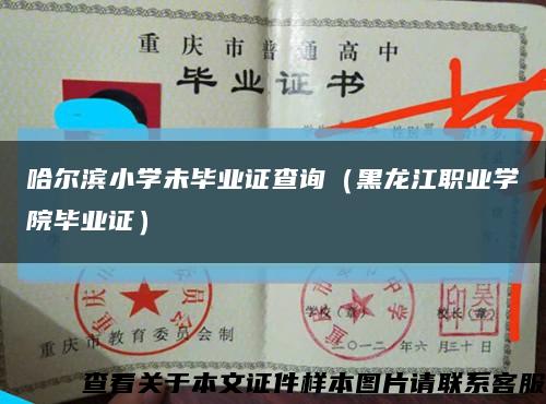 哈尔滨小学未毕业证查询（黑龙江职业学院毕业证）缩略图