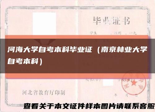 河海大学自考本科毕业证（南京林业大学自考本科）缩略图