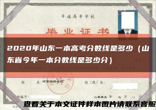 2020年山东一本高考分数线是多少（山东省今年一本分数线是多少分）缩略图