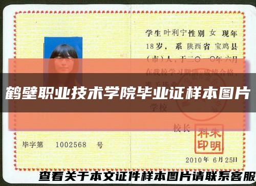鹤壁职业技术学院毕业证样本图片缩略图
