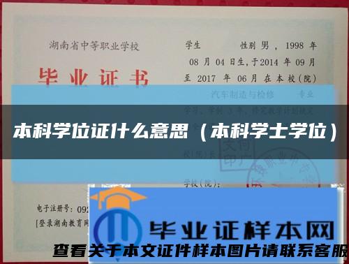 本科学位证什么意思（本科学士学位）缩略图