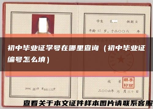 初中毕业证学号在哪里查询（初中毕业证编号怎么填）缩略图