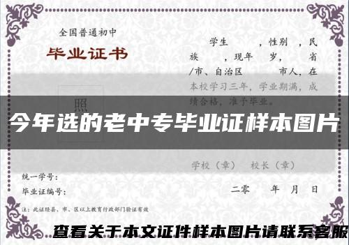 今年选的老中专毕业证样本图片缩略图