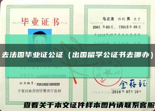 去法国毕业证公证（出国留学公证书去哪办）缩略图