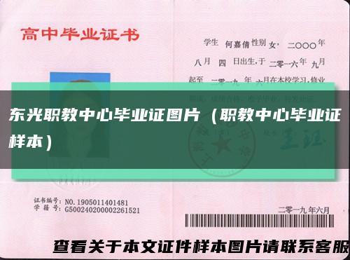 东光职教中心毕业证图片（职教中心毕业证样本）缩略图