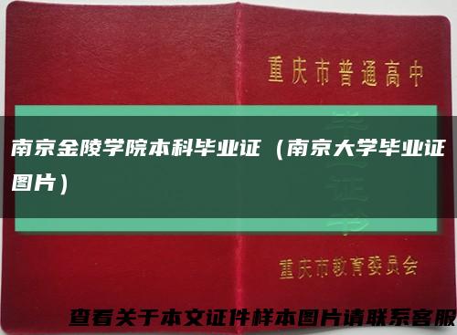 南京金陵学院本科毕业证（南京大学毕业证图片）缩略图