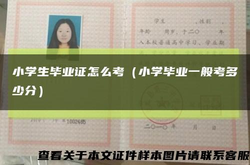 小学生毕业证怎么考（小学毕业一般考多少分）缩略图
