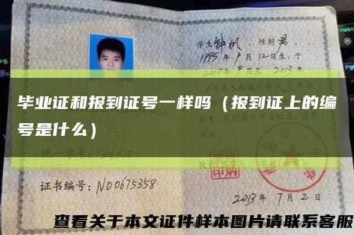 毕业证和报到证号一样吗（报到证上的编号是什么）缩略图