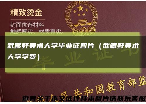 武藏野美术大学毕业证图片（武藏野美术大学学费）缩略图