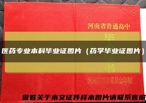 医药专业本科毕业证图片（药学毕业证图片）缩略图