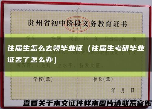 往届生怎么去领毕业证（往届生考研毕业证丢了怎么办）缩略图